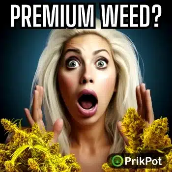 prikpot-pai