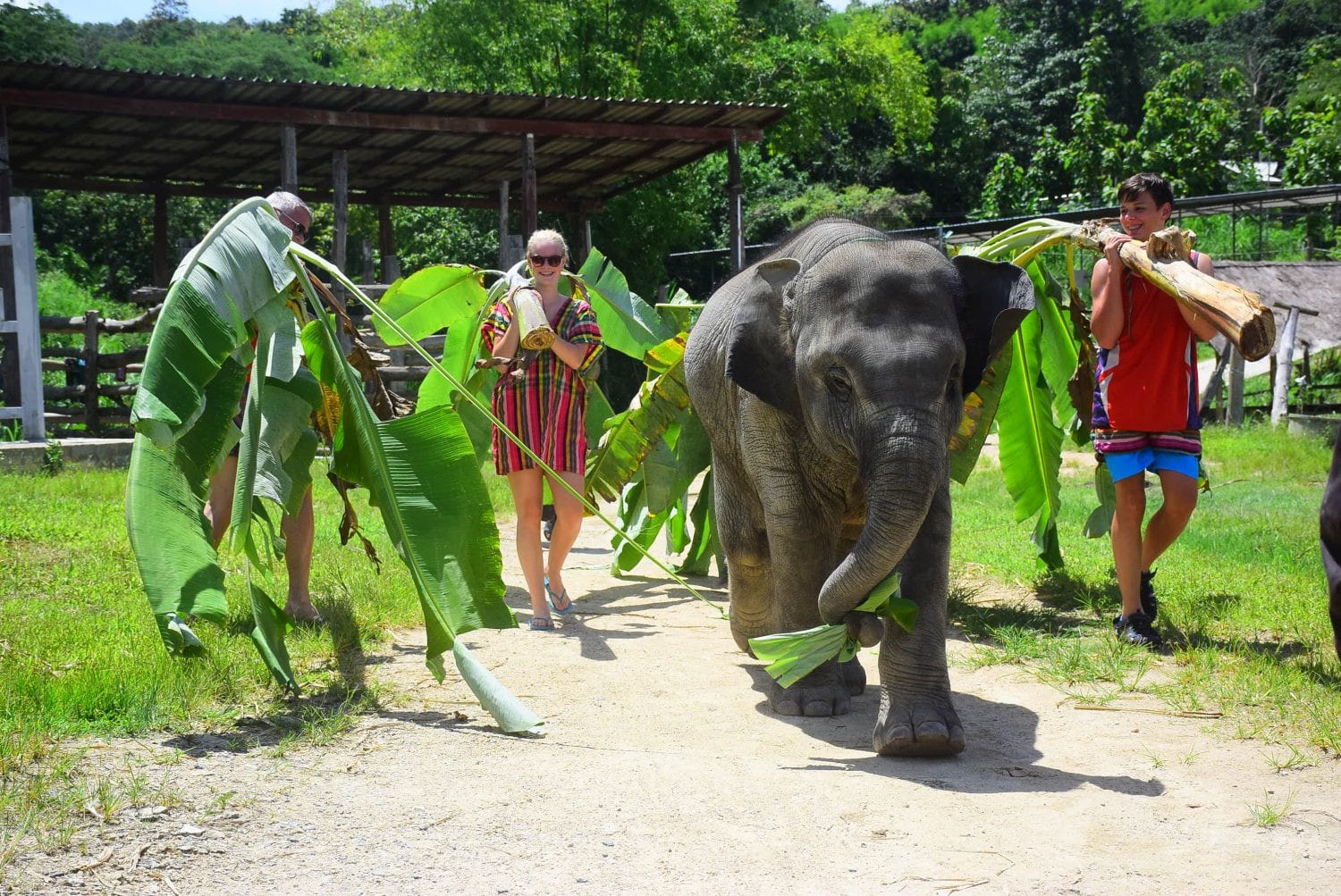 Elephants and Visitors Playing at Elephant Retirement Park