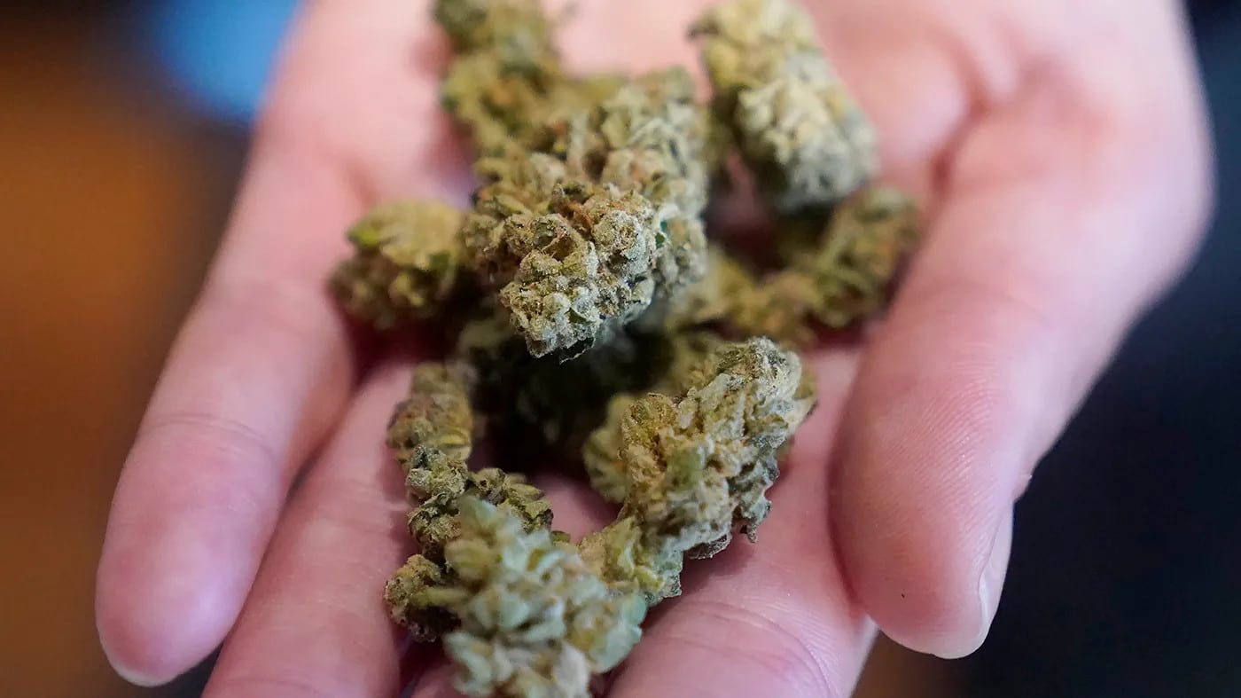 High Quality Cannabis at 420 Koh Lipe High Quality Cannabis At 420 Koh Lipe
