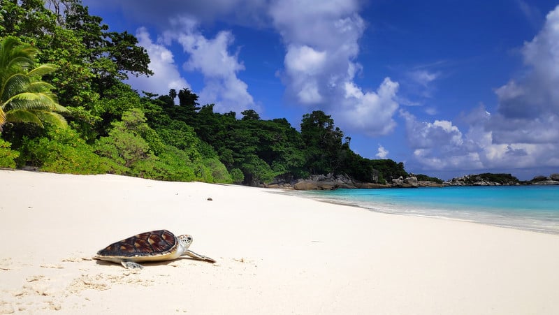 The Sirinath National park guide Sirinath National Park, Phuket