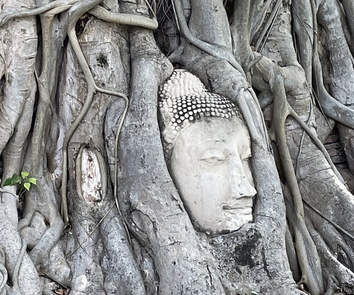 The Wat Mahathat in Bangkok