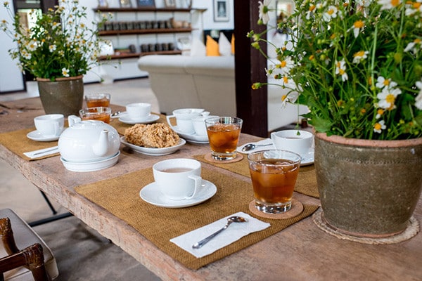 The Araksa Tea Garden in Chiang Mai