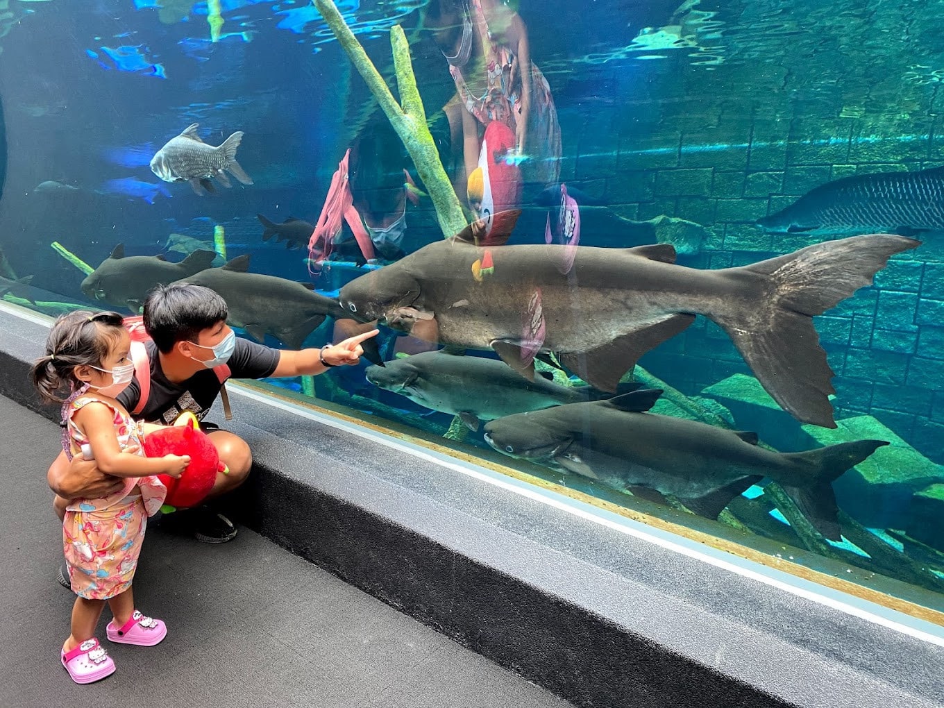 Kids Examining the Marine Life at Aquaria Aquaria, Phuket