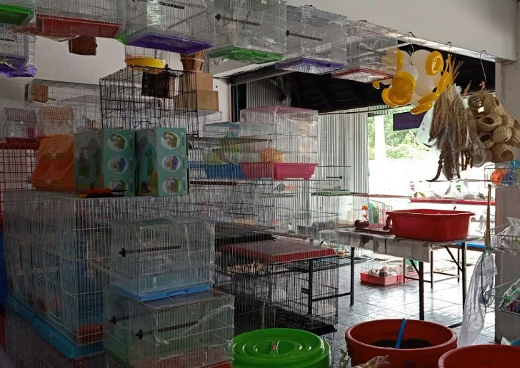 The Mali Pet Shop, Chiang Mai