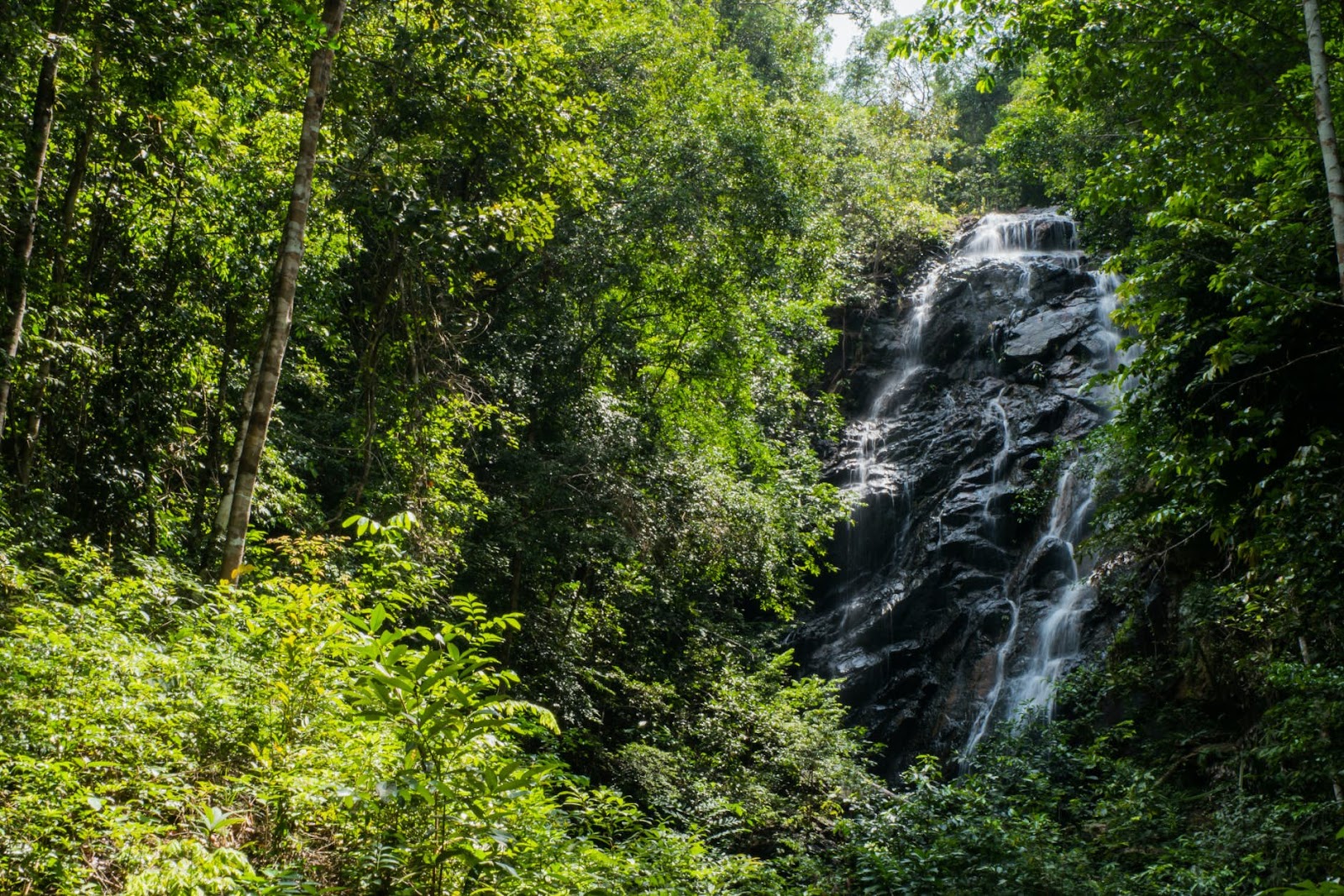 5 Koh Phangan Waterfalls You Must Visit - Phaeng Waterfall