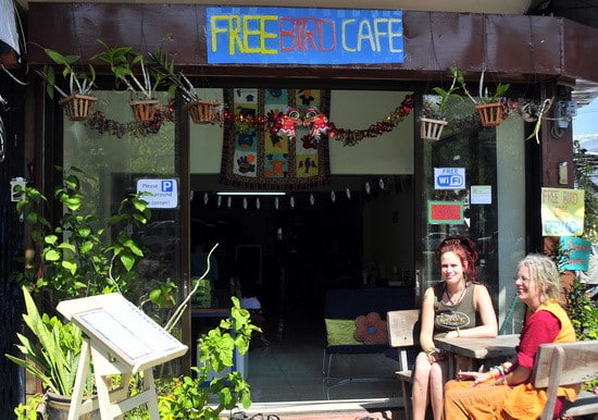 The Free Bird Cafe in Chiang Mai