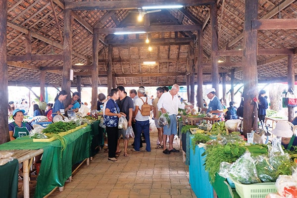 The JJ organic Market in Chiang Mai