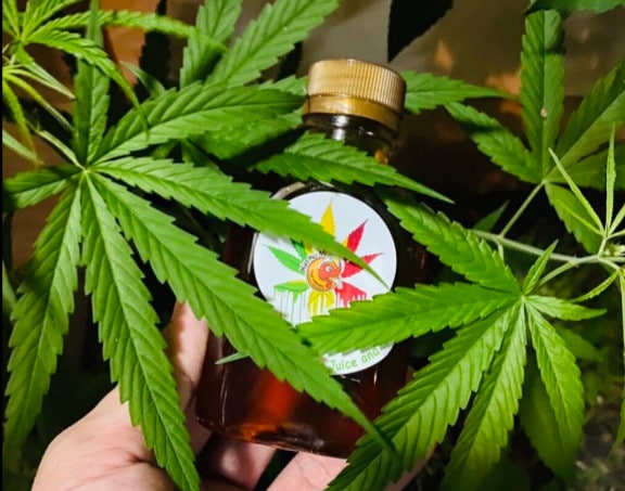 Kinkumi Cannabis Cafe in Chiang Mai